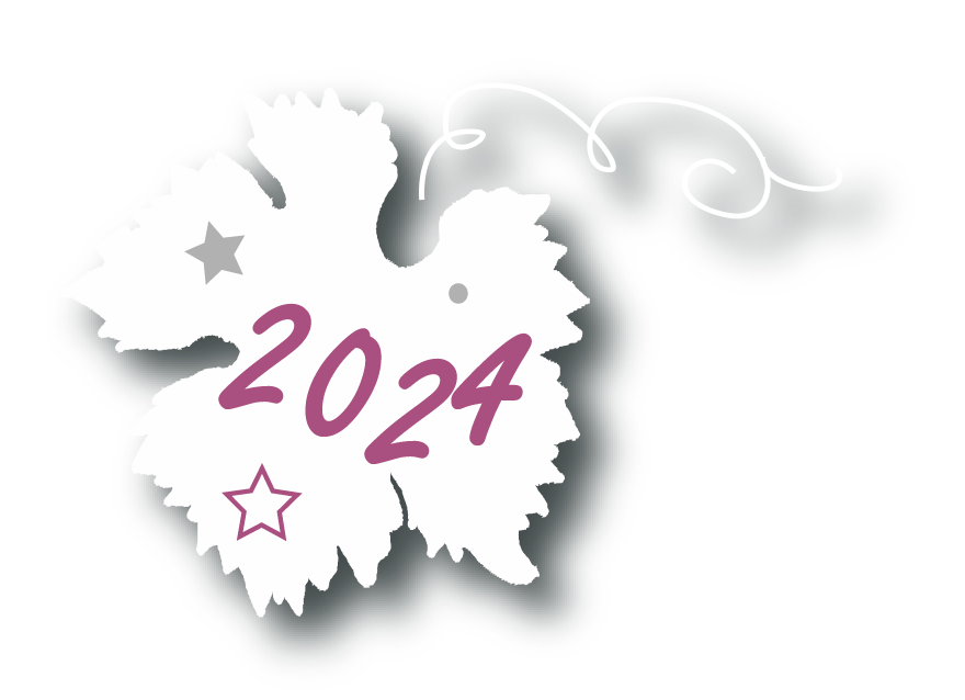 Feuille2024 Plan de travail 1