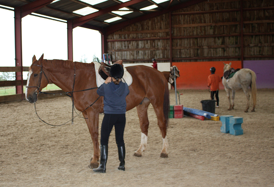 Equitation