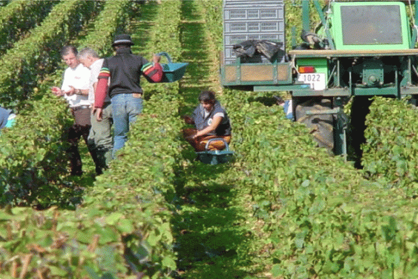 Brevet Professionnel Responsable d'Entreprise Agricole