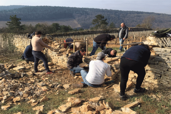 Initiation à la restauration de murs de vigne en pierres sèches